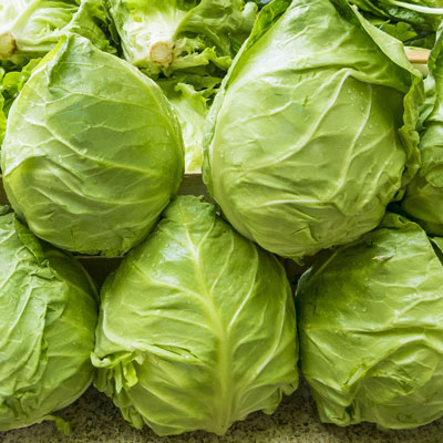 insalata