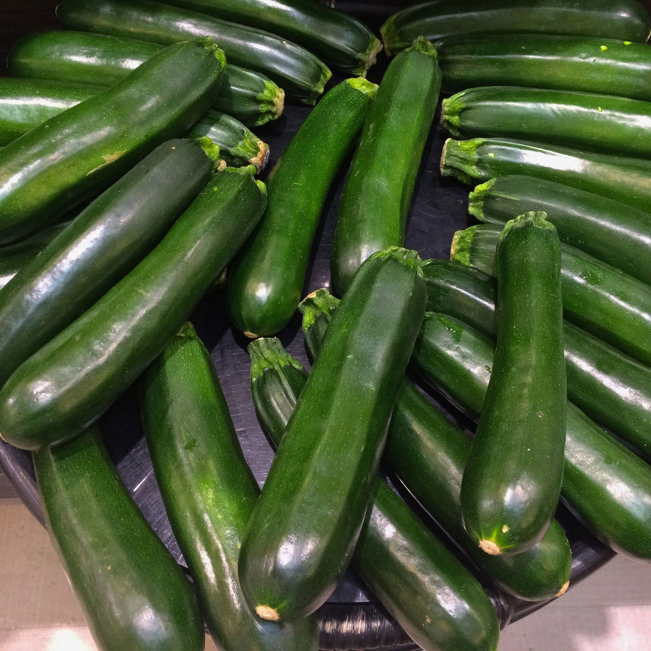 zucchine zucchine